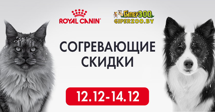 Согревающие скидки на корма Royal Canin в ГиперЗОО